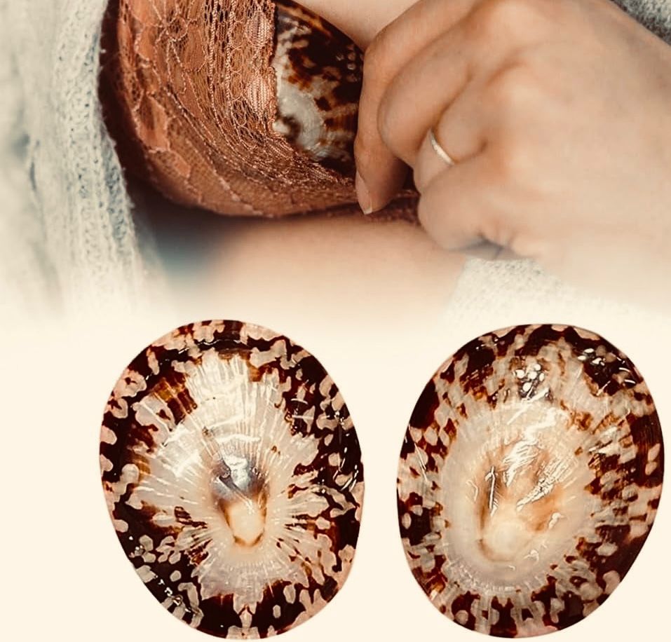 قواقع الرضاعة الطبيعية